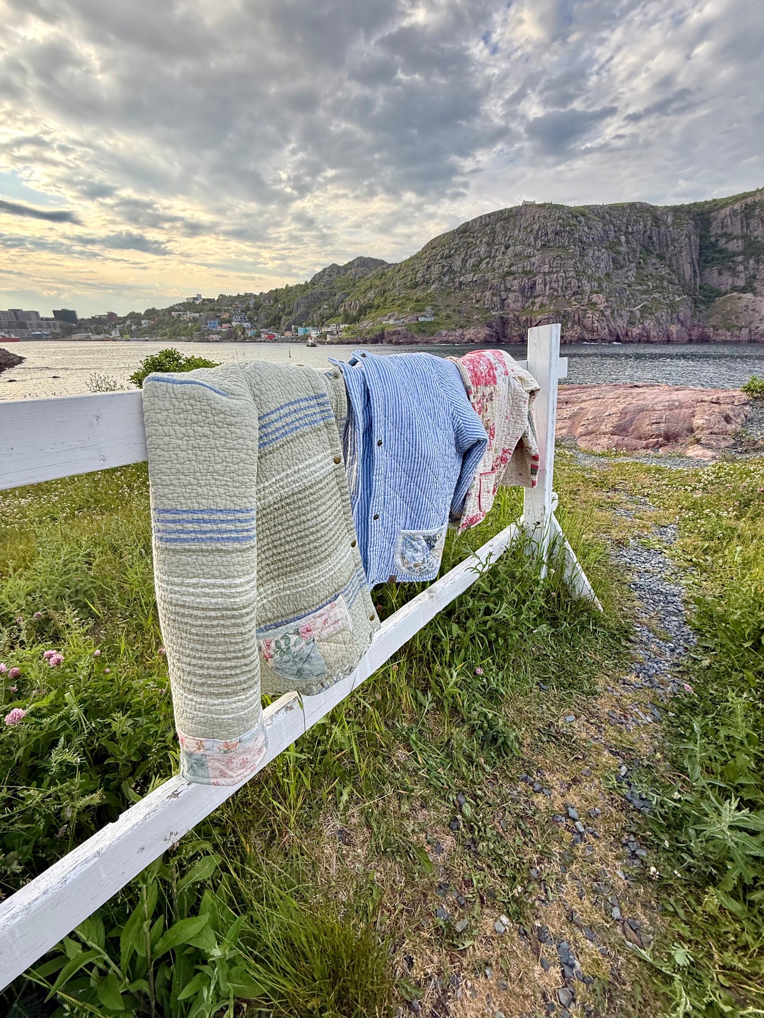 The Capelin Collection 07.16